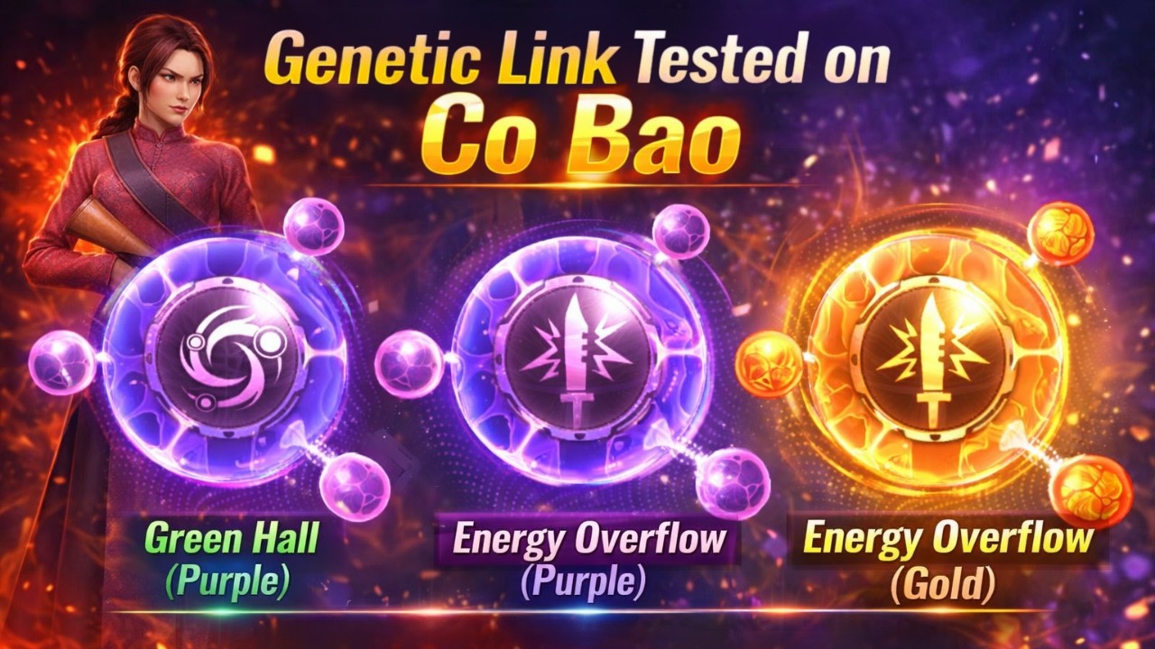 Co Bao Genetic Link Tested – Green Hall vs Energy Overflow (Purple & Gold) | Which Is Best?