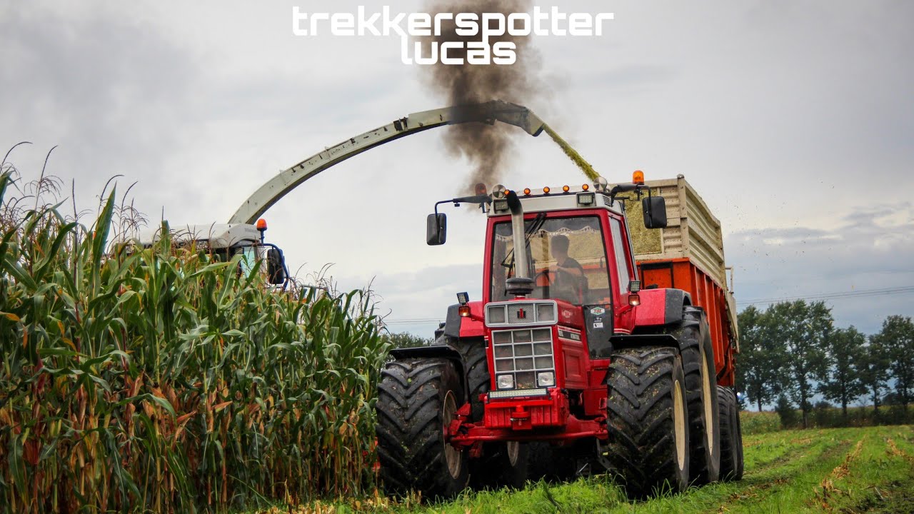 International 1455 XL sound & smoke.