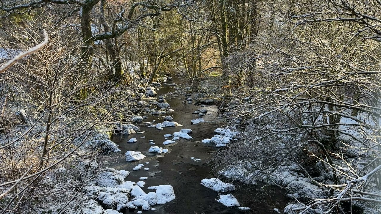 Gentle River ASMR | Scottish Highland Scenery