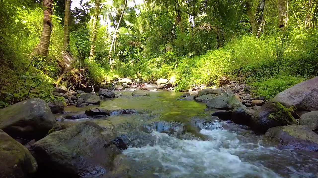 River Soundscape Therapy for Insomnia Relief | 1 Hours of Calming Water Sounds 🌊