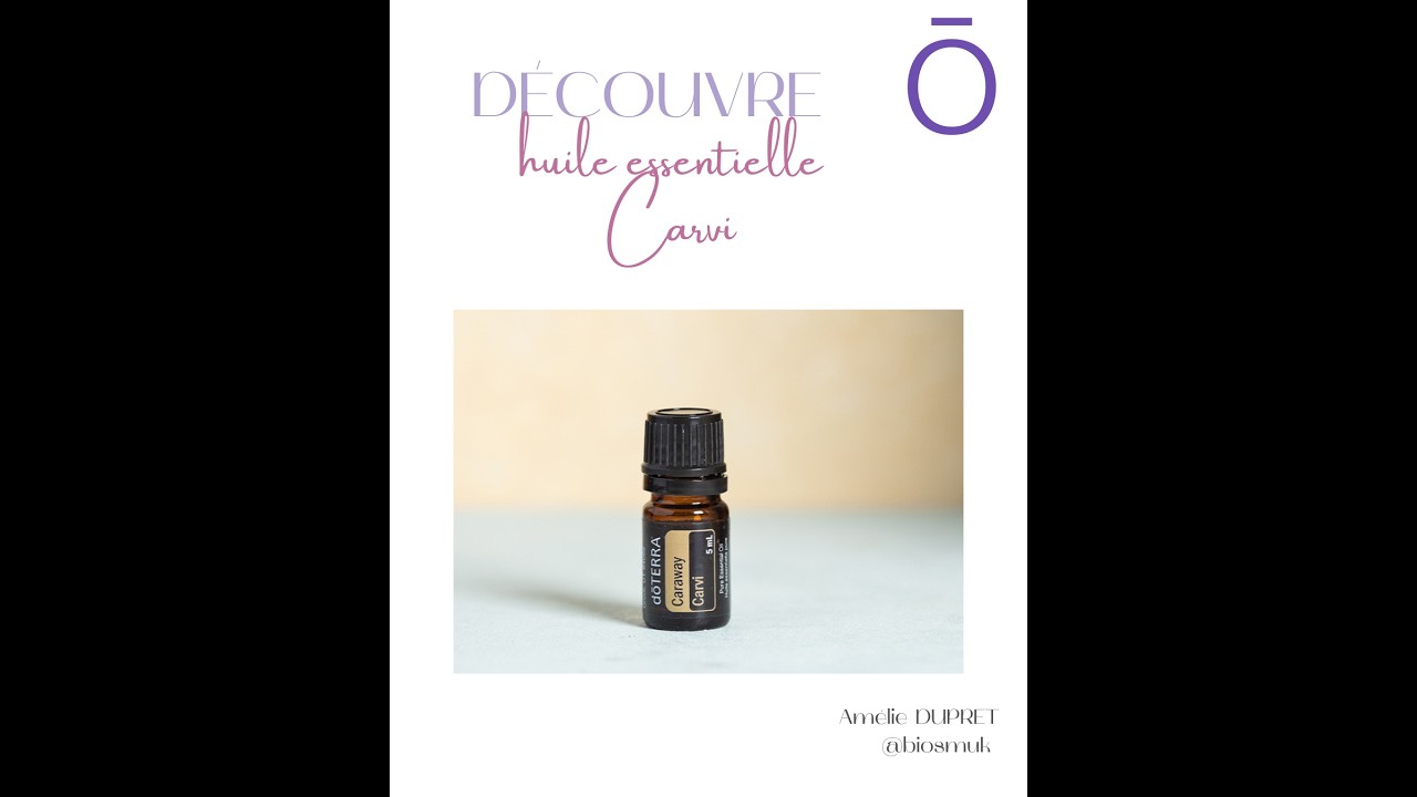 🌿 Huile essentielle de carvi – Carum carvi