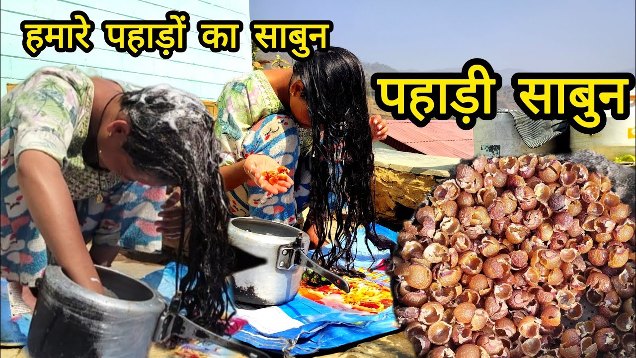 पहाड़ी साबुन प्रकृति द्वारा निर्मित!! पहले के समय में इसी पहाड़ी साबुन का इस्तेमाल करते थे!!