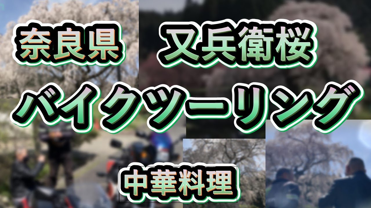 春に奈良県宇陀市の又兵衛桜を見に行きました。美しかったので、編集して再UPしました。