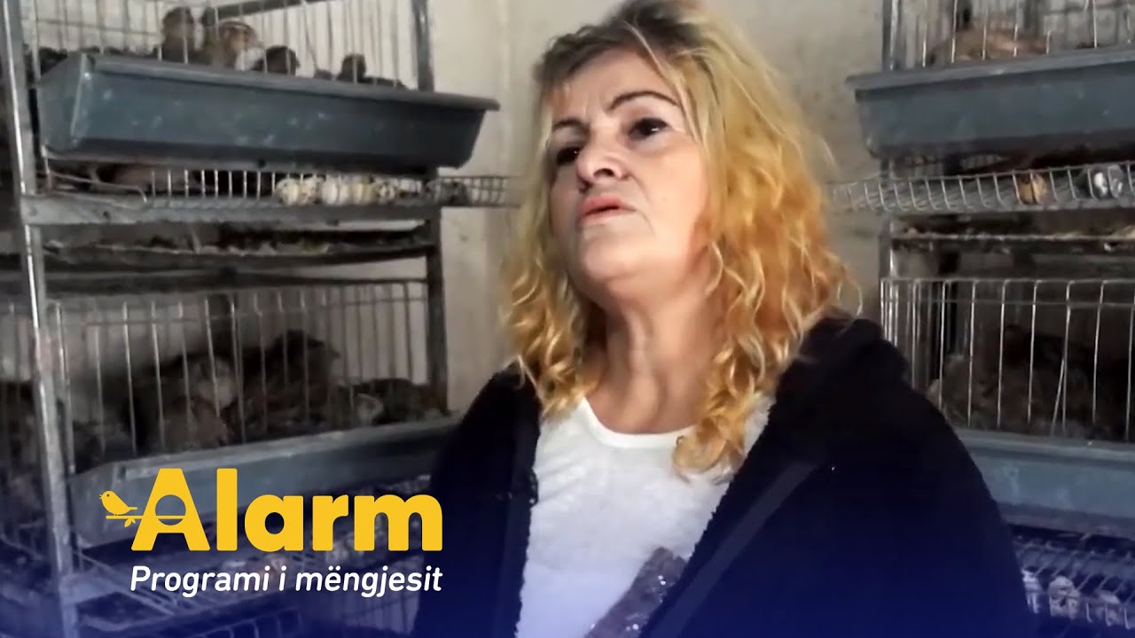 Vezet sheruese te thellezave - A TV