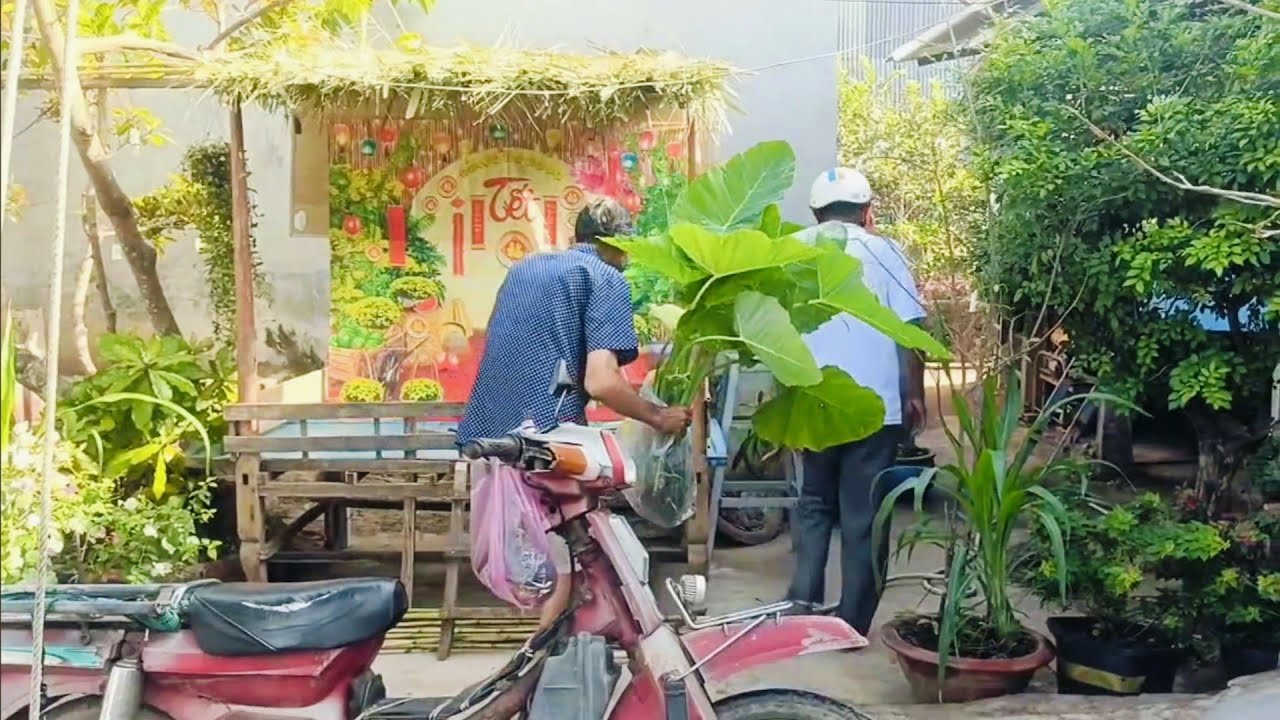 Lão nông làm tiểu cảnh đón Tết: Cất hẳn một căn chòi (sắp xong) 🥰