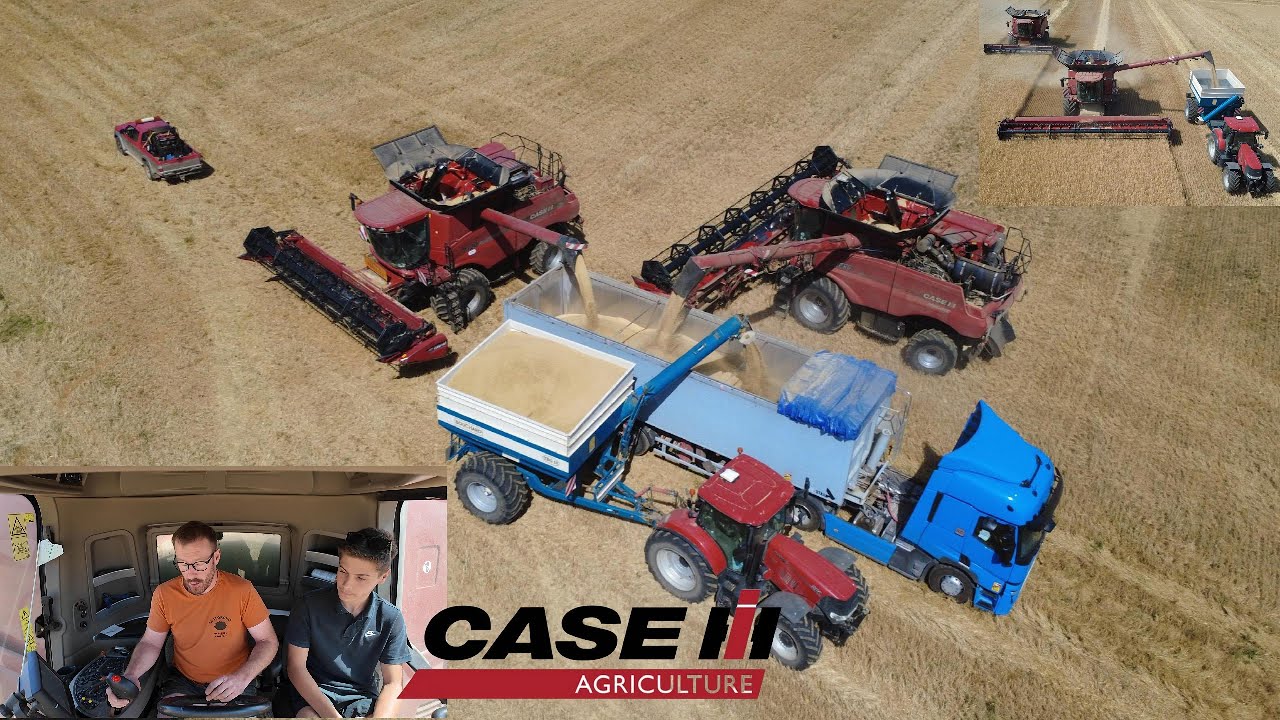 😱MOISSON XXL !!⚠️ | FULL CASE IH🔴 | X2 Batteuses + Transbordeur😈 | ETA Montagu📽️