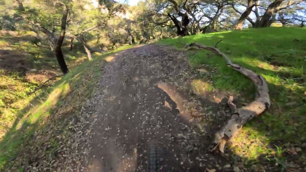 Toro Park Mountain Biking Marks Canyon 1/28/26