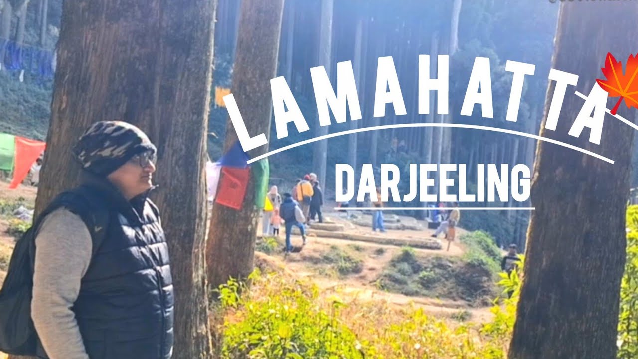 Lamahata Eco Park Darjeeling | Best Tourist spot in Nortth Bengal | #trending #viral #short #shorts