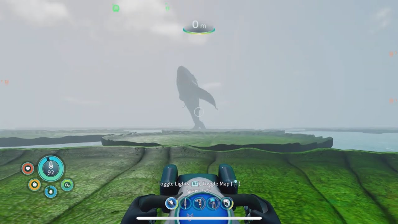 Watching Whales Jump