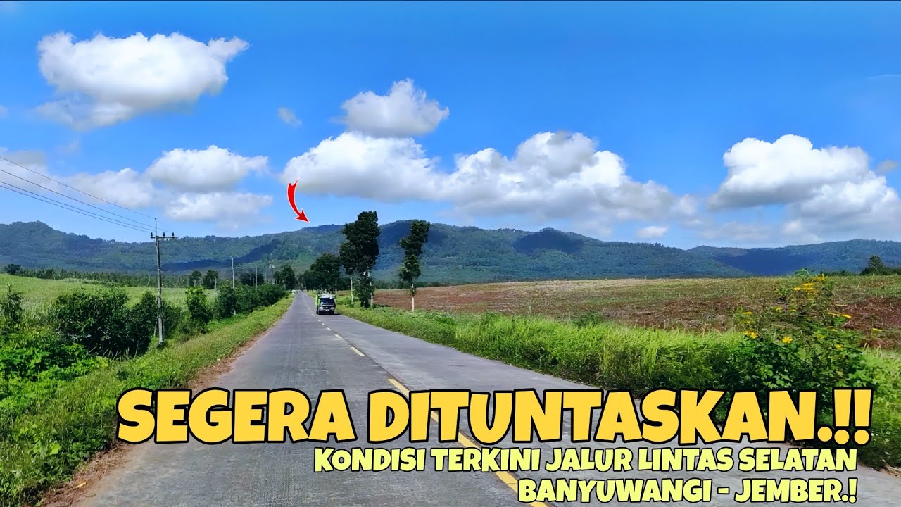 JAWA TIMUR VIRAL‼️KONDISI TERKINI JALUR LINTAS SELATAN BANYUWANGI - JEMBER TERBARU 2025