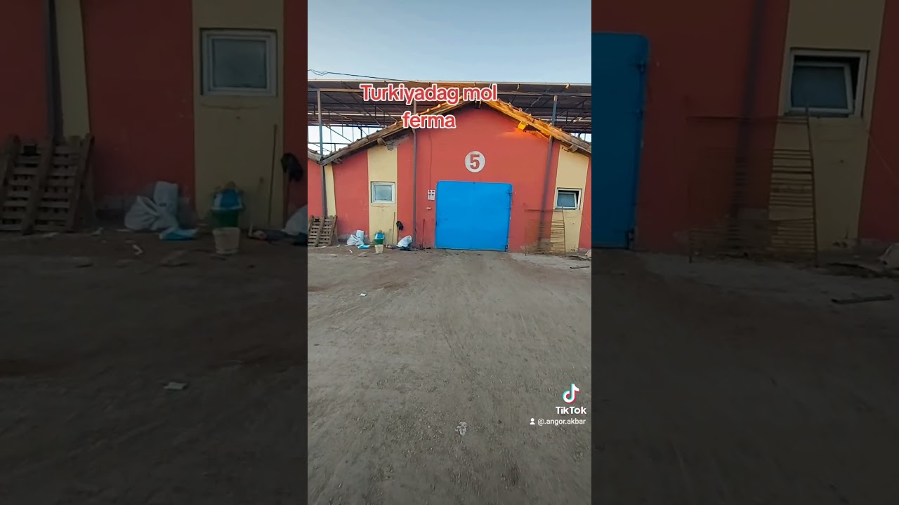 Turkiyada ish