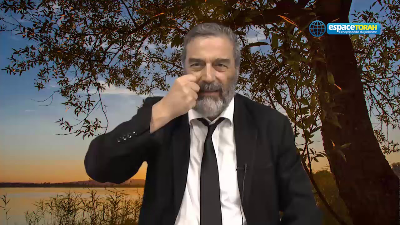 Le rapport des non juifs aux mitsvot - Rav Sadin