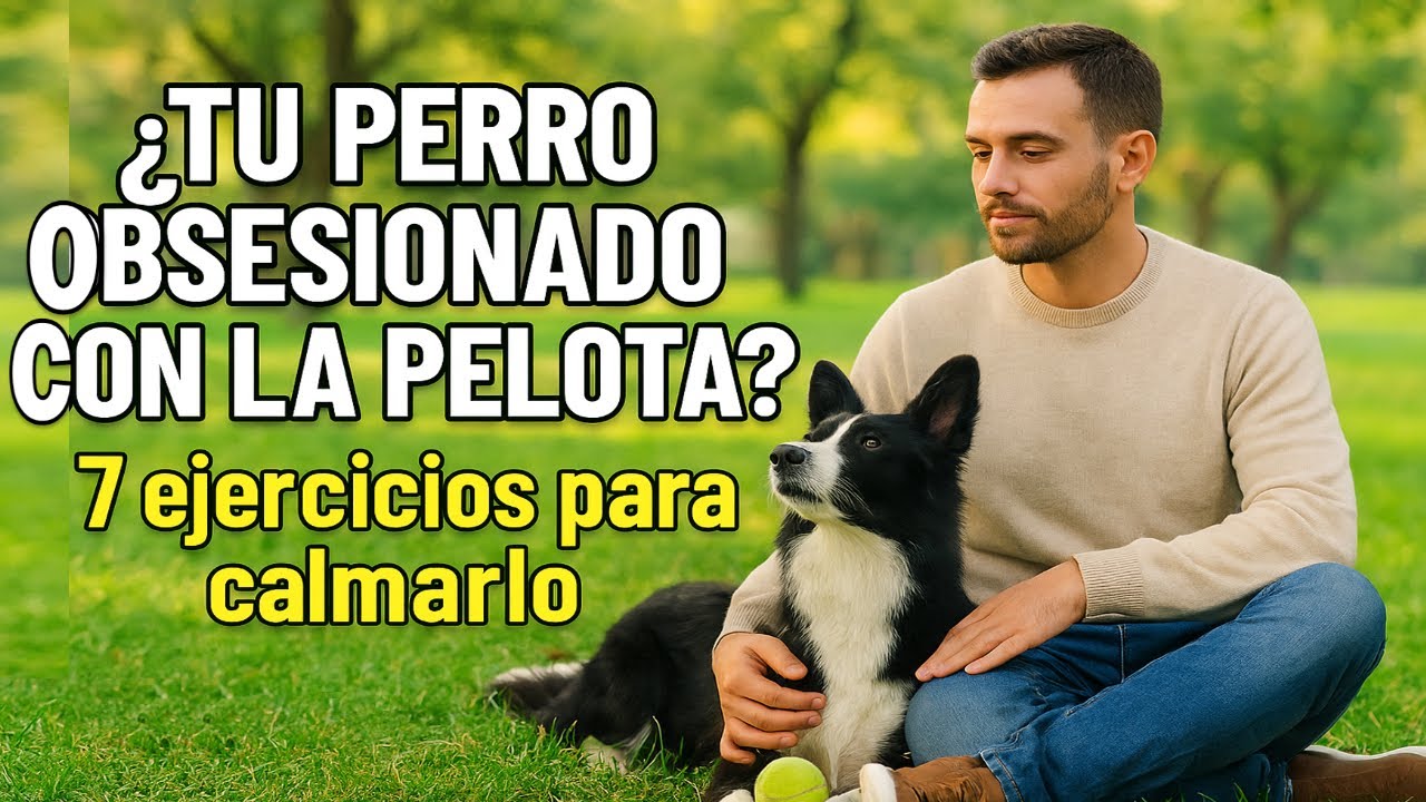 Cómo corregir la obsesión por las pelotas en los perros