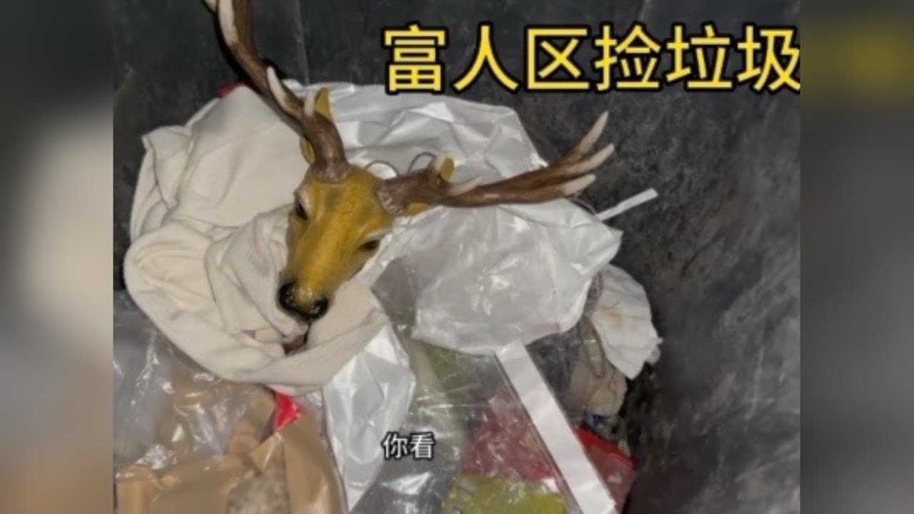 富人区捡垃圾 盘点城市富人区垃圾桶能捡到什么东西？