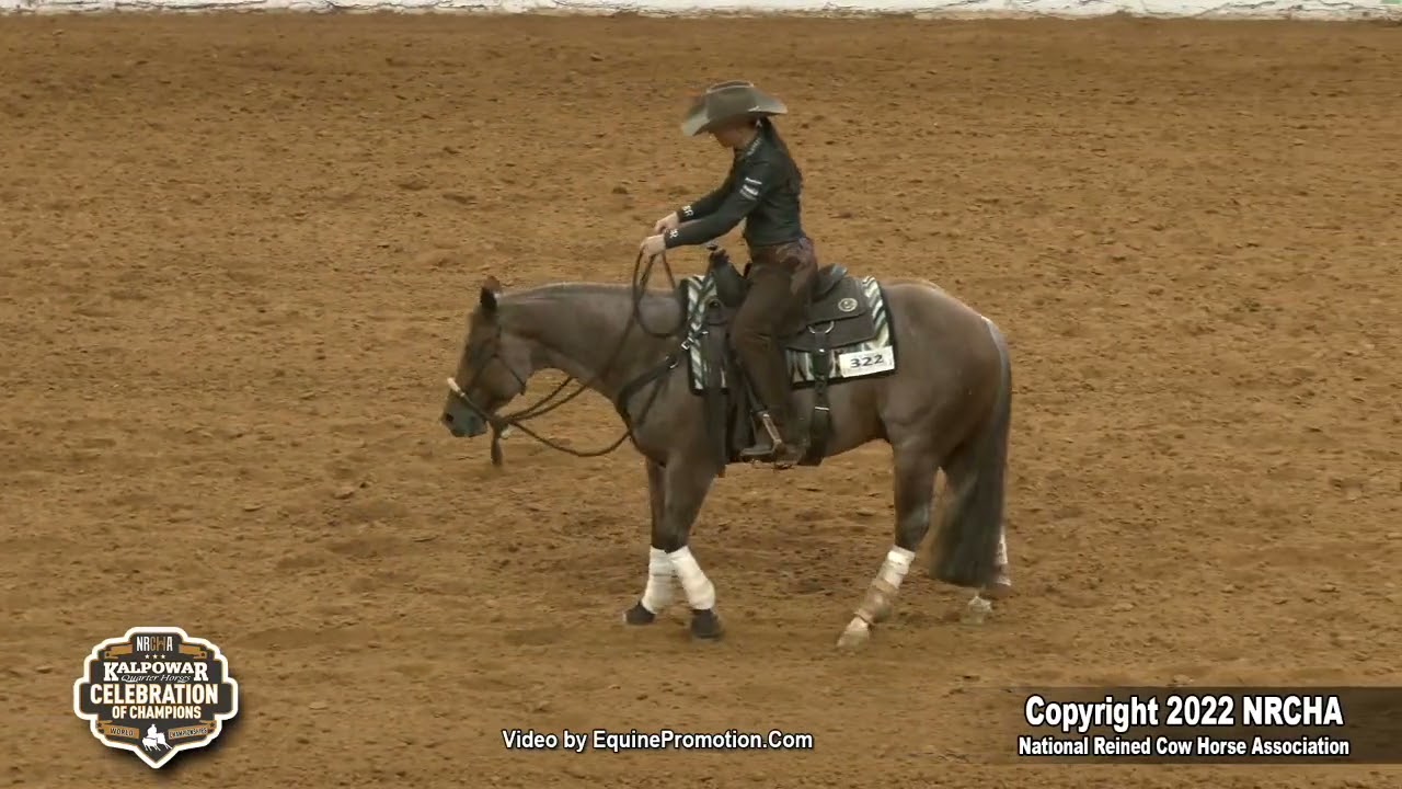 Hazardouz Material & Erin Taormino Win Open Hackamore World Championship
