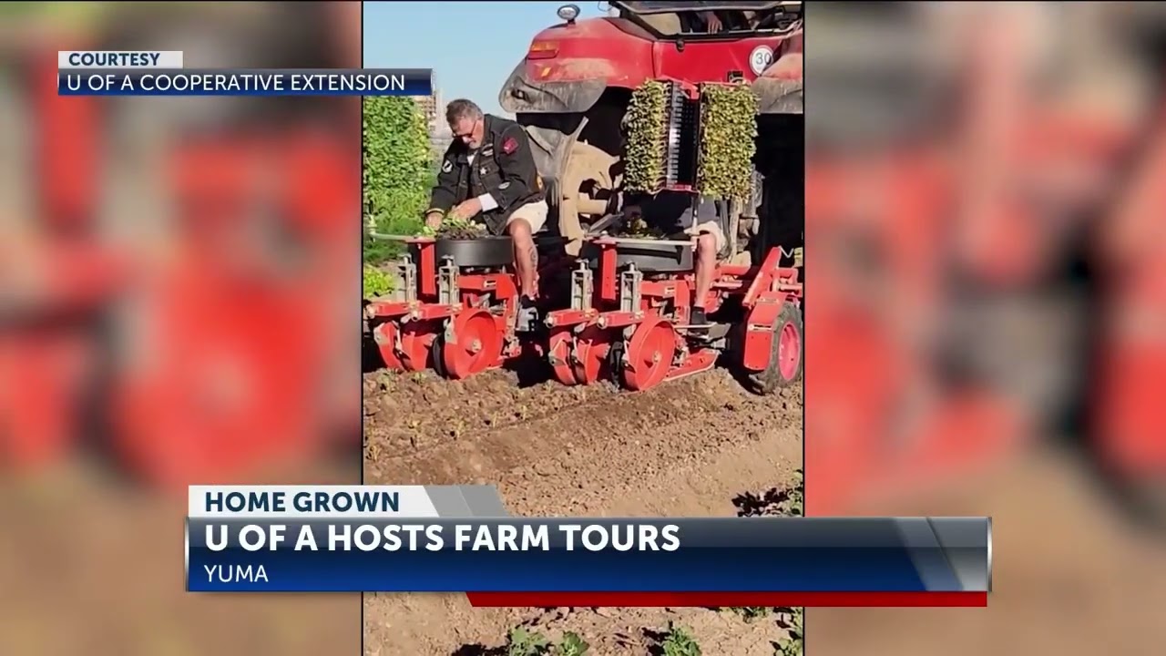 Home Grown: Local U of A Cooperative Extension Hosts Farm to Family Day
