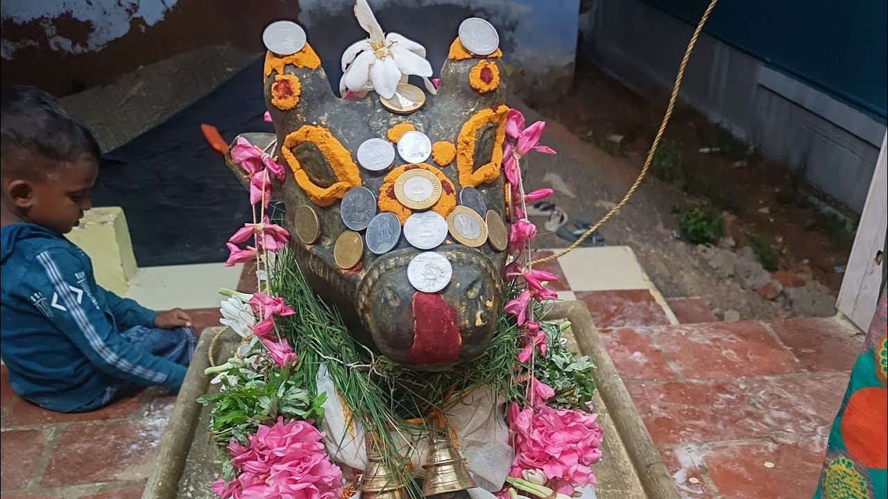 நந்தி அபிசேகம்!! பிரதோசம்! #nanthi #shiva #shivalove #tamil #sivan #shivastatus #namashivaya #sivaya