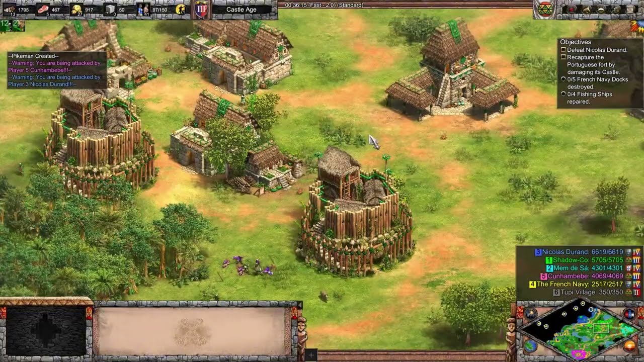 Age of Empires II DE - France Antarctique (DLC Campaign Mission)