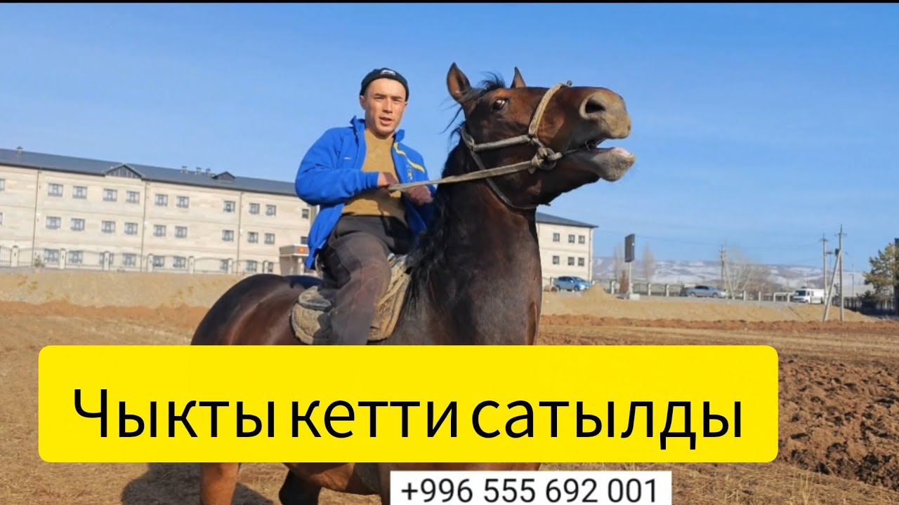 Ото чон оспурум корсон тан каласын