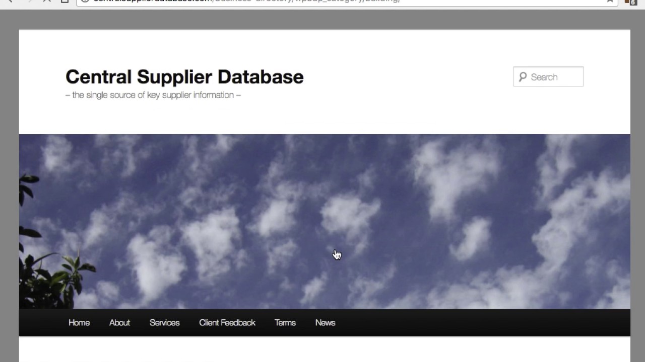 Central Supplier Database &ndash; the single source of key supplier information