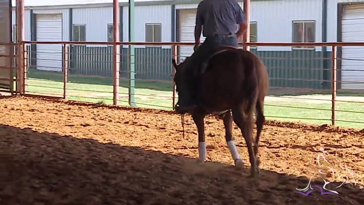 Keeping Your Horses Shoulder up While Loping - Pete Kyle