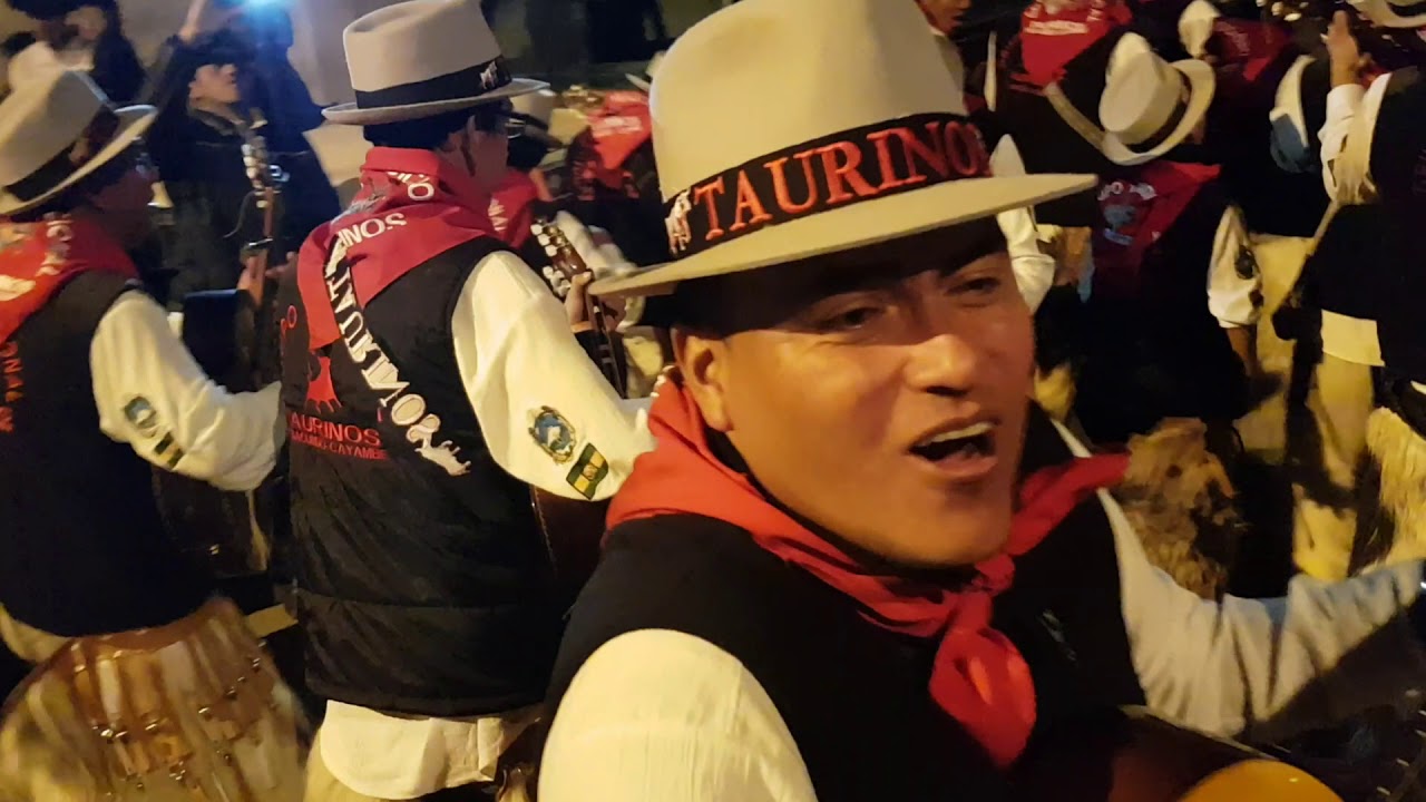 TAURINOS DE TABACUNDO Y CAYAMBE EN AYORA