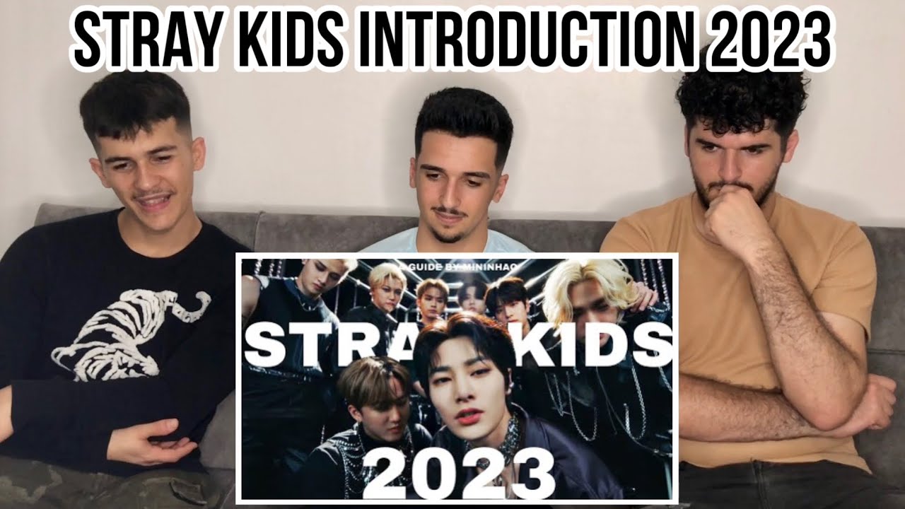 FNF Reacts to A DETAILED INTRODUCTION TO STRAY KIDS 2023 | STRAY KIDS INTRODUCTION