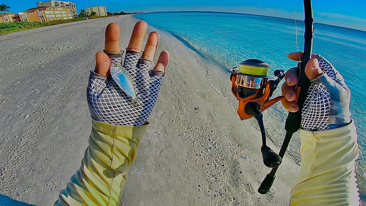 SNOOK Sight Casting on the SURF