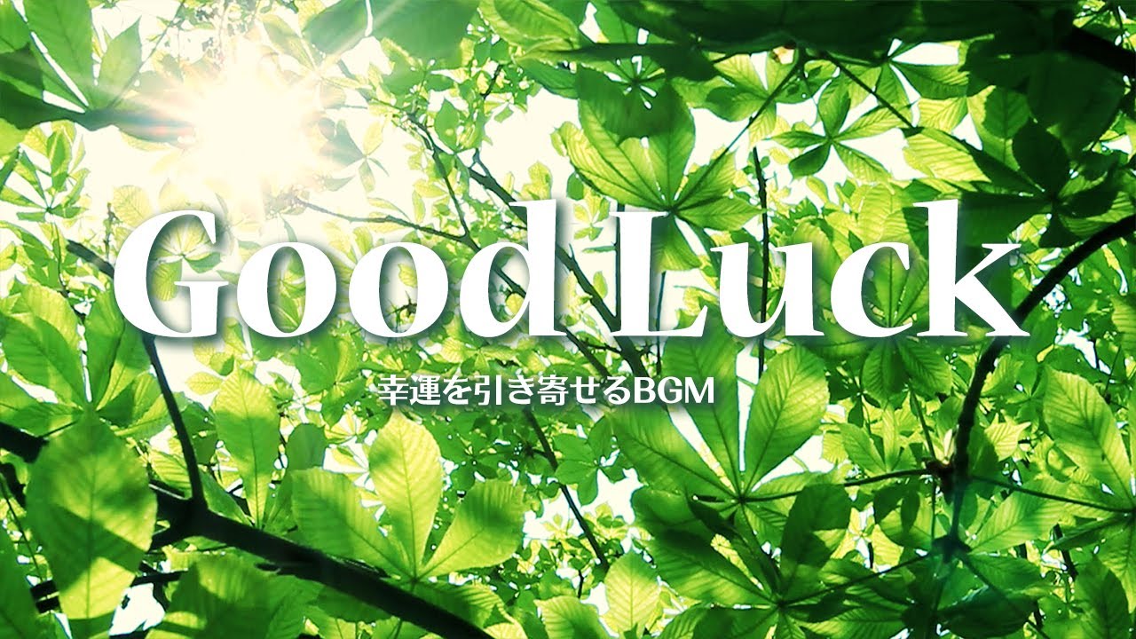 【朝の音楽】11月11日🌟Good Luck🤞幸運を引き寄せる22のラッキーアイテムと爽やかアコースティック🍀 Morning Music🎵 Refreshing Acoustic Tunes