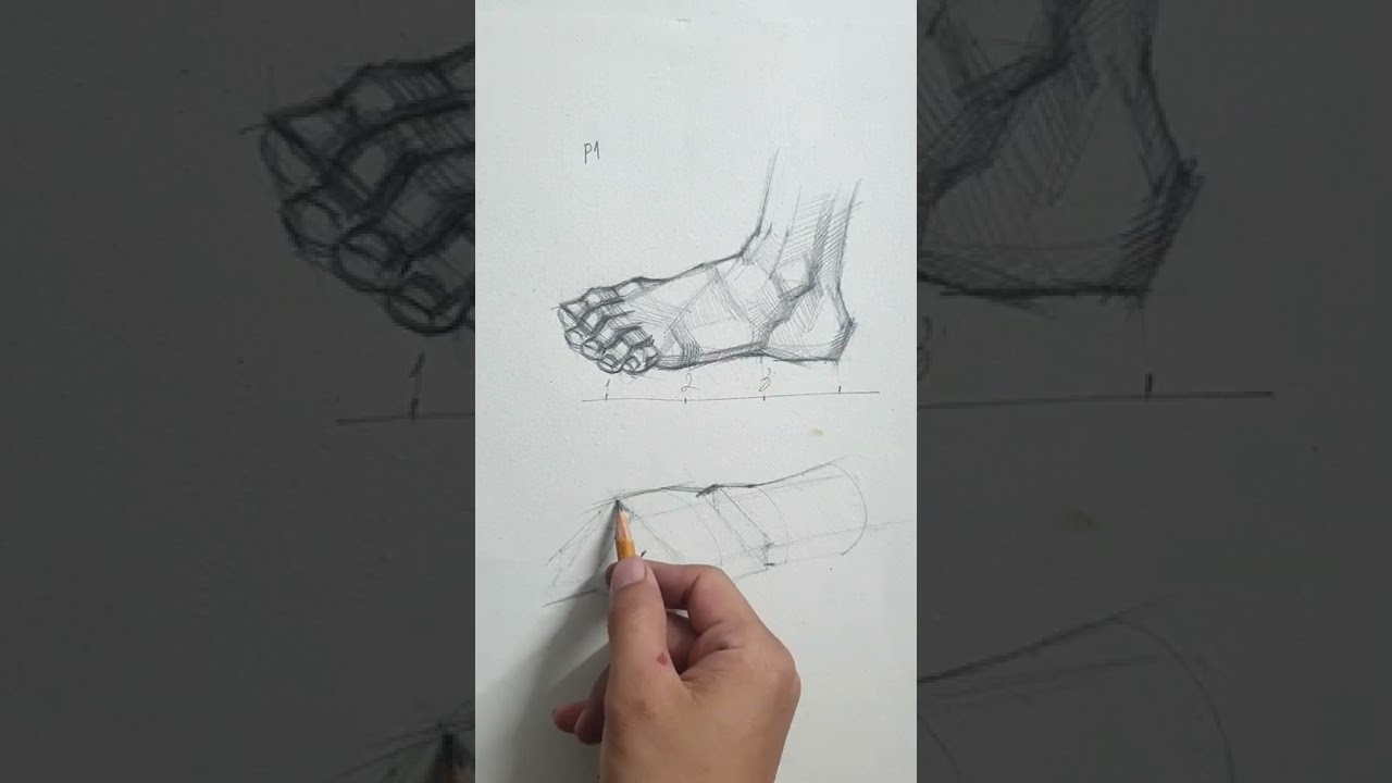 anatomy, drawing .hướng dẫn vẽ bàn chân.hình họa khối H.vẽ người#art #drawing #hocvecoban #fyp