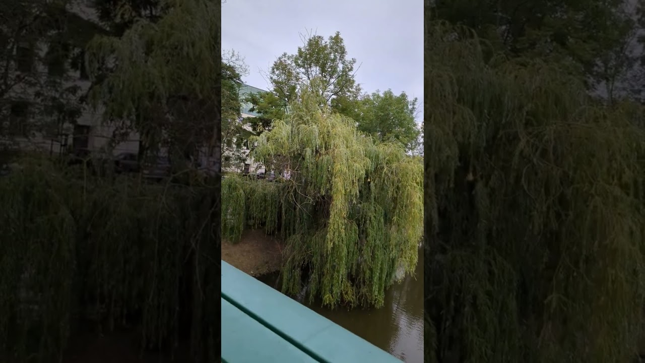 Opole, Oderbr&uuml;cke - August 2024