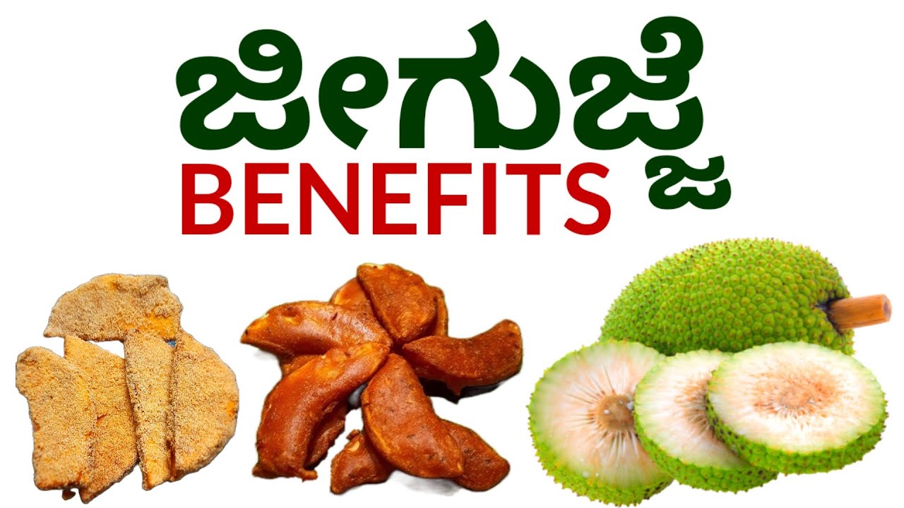 Health Benefits of Breadfruit | ಜೀಗುಜ್ಜೆ ಉಪಯೋಗ ಏನು | Hoysal Shetty Vlogs