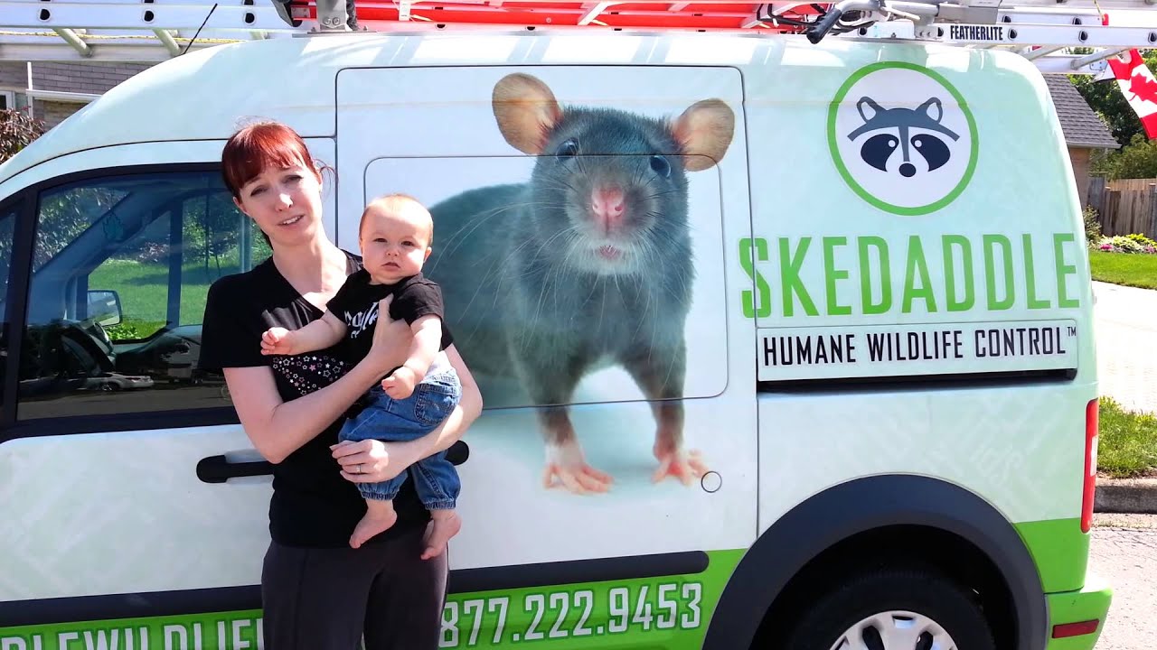 Another Satisfied Skedaddle Customer