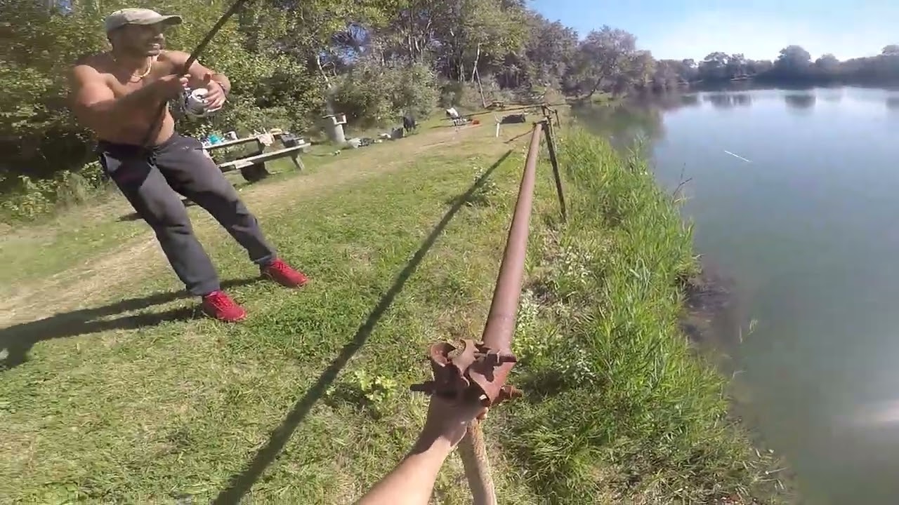 [La Barcaccia Vol 5] BBQcarp