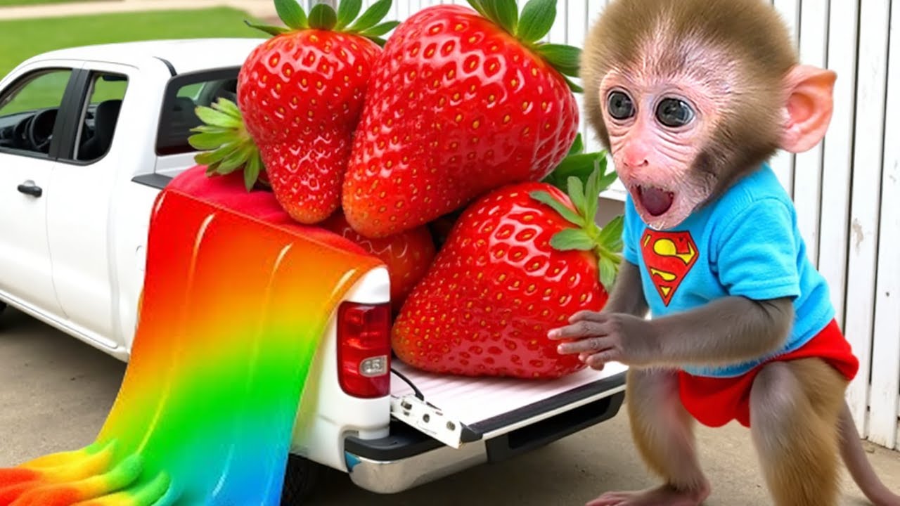 Monkey Baby Bon Bon with the Puppy Encounter strange stickers and Unhealthy Habits