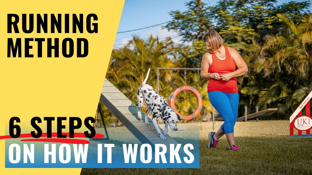 Pros and Cons: Is the Running Method Right for Your Dog? | Contact Training | Dog Agility Training