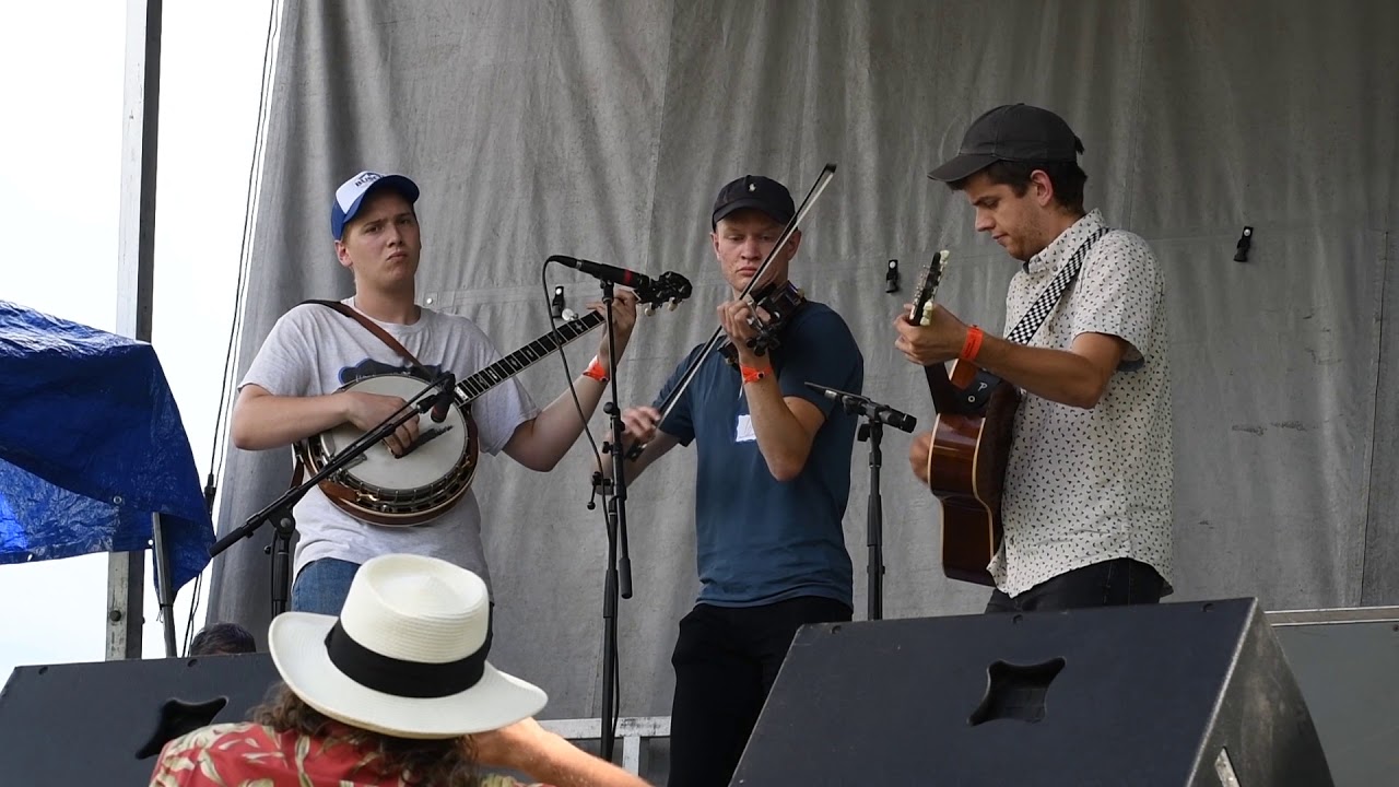 Clifftop 2019 - Sally Johnson - Mattias Thedens