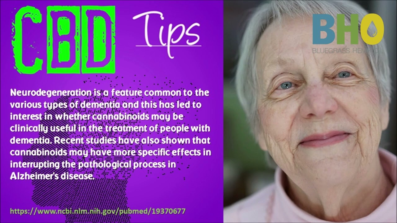CBD for Focus and Concentration | Understanding CBD and Focus No Matter The Age.