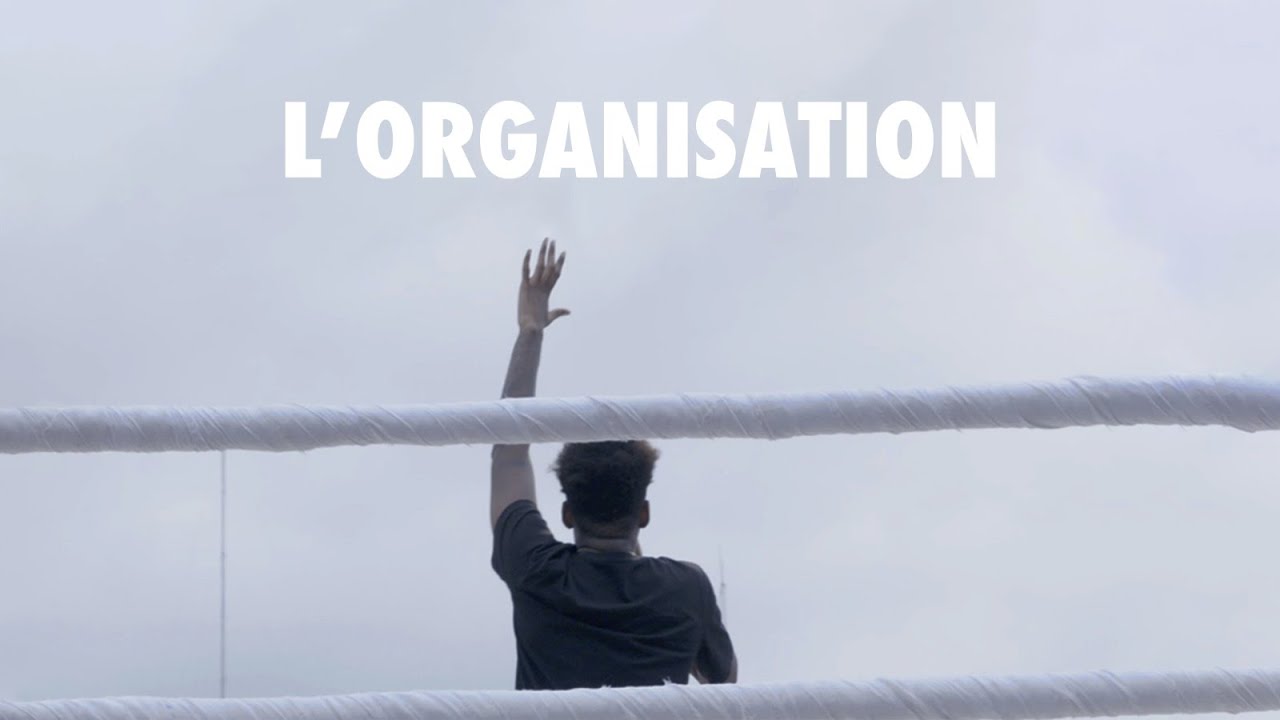 L'organisation