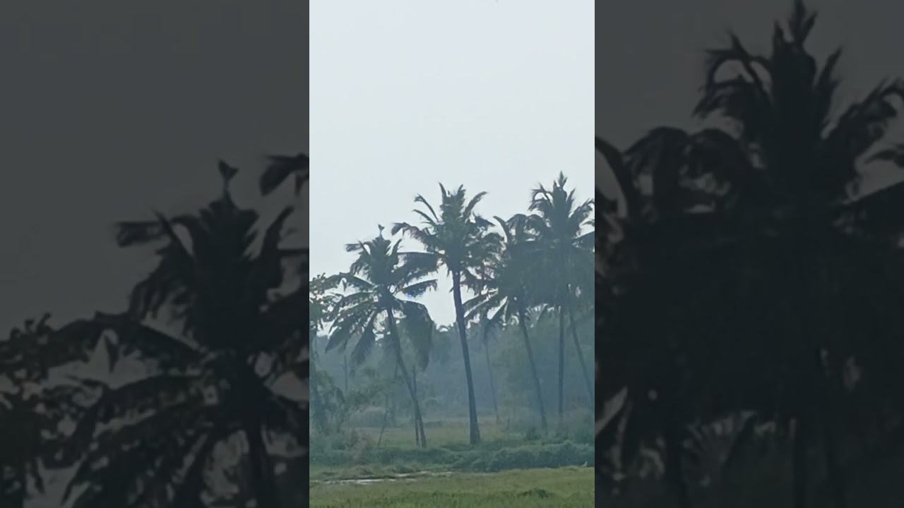 KILOMETER FROM ARABIAN SEA @tripwiseguy #SUBTROPICS