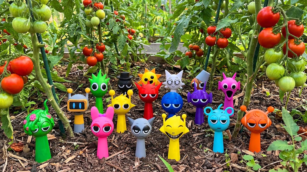 Looking for Sprunki Between the Tomato Rows