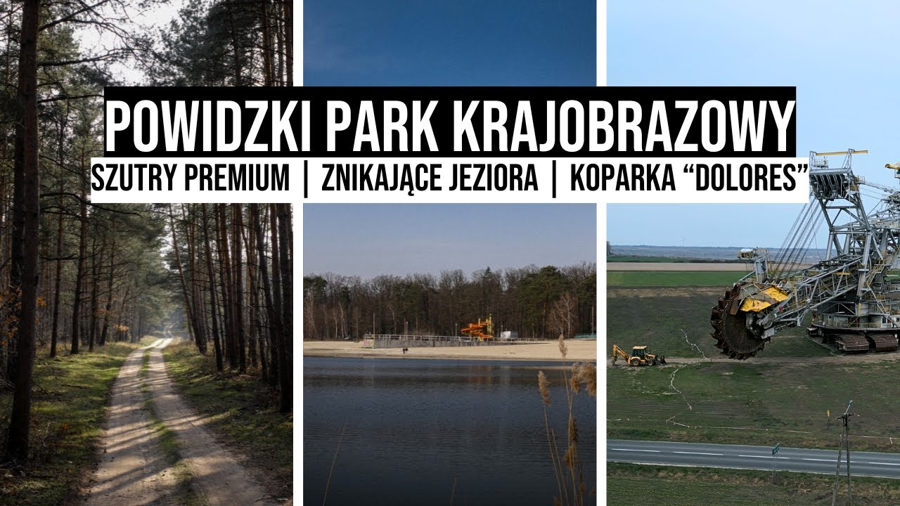 Powidzkie DYWANY SZUTROWE, znikające JEZIORA i koparka 