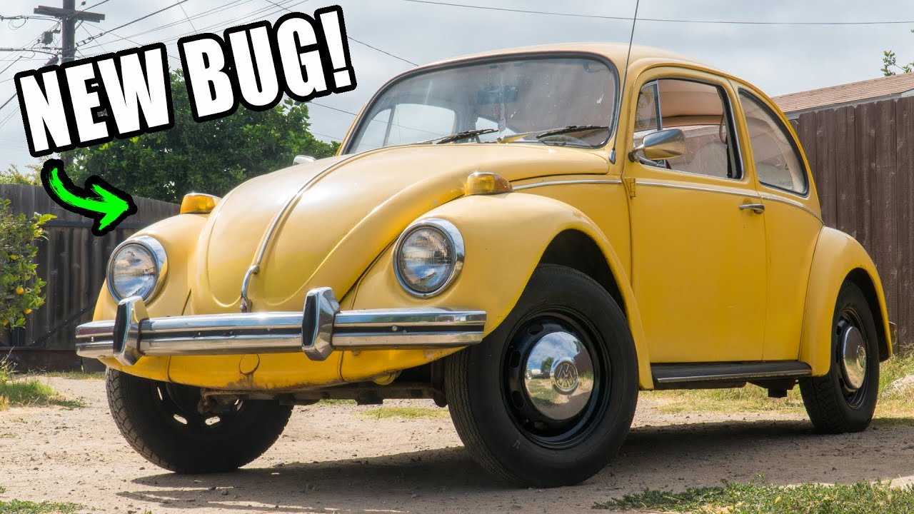 Introducing My NEW VW Bug Project!