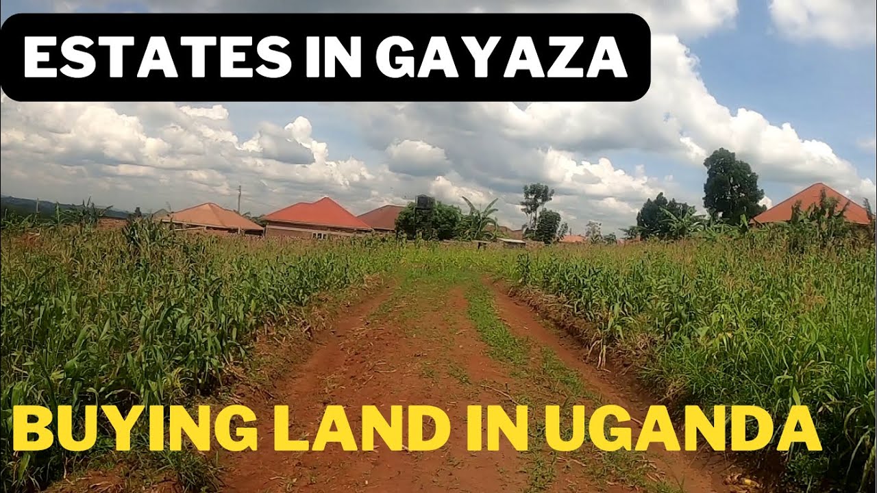 Estates & Plots For Sale In Gayaza | Zizino plots ku beeyi laisi e Gayaza (BUYING LAND IN UGANDA)