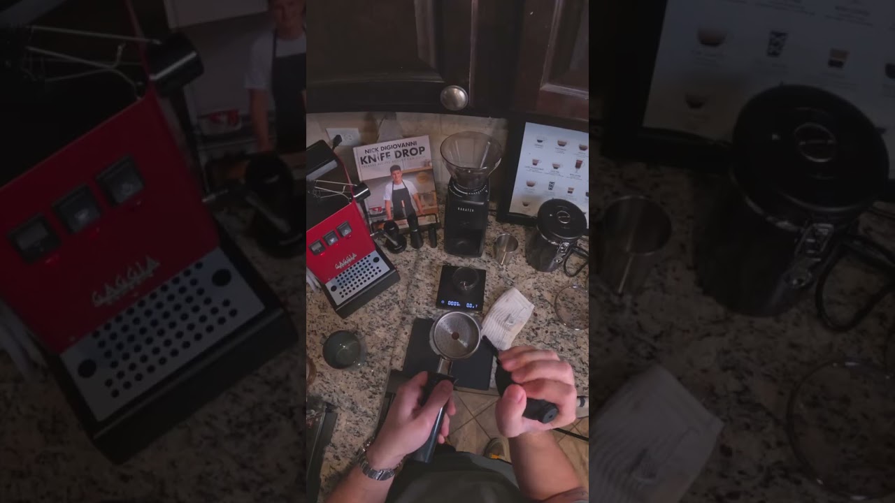 Just trying to learn the Gaggia