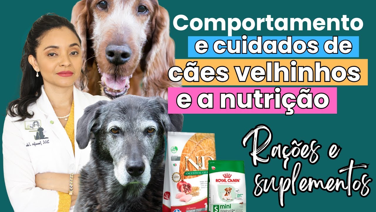 CUIDADOS, #COMPORTAMENTO EM #CÃES  #VELHINHOS E A #NUTRIÇÃO.