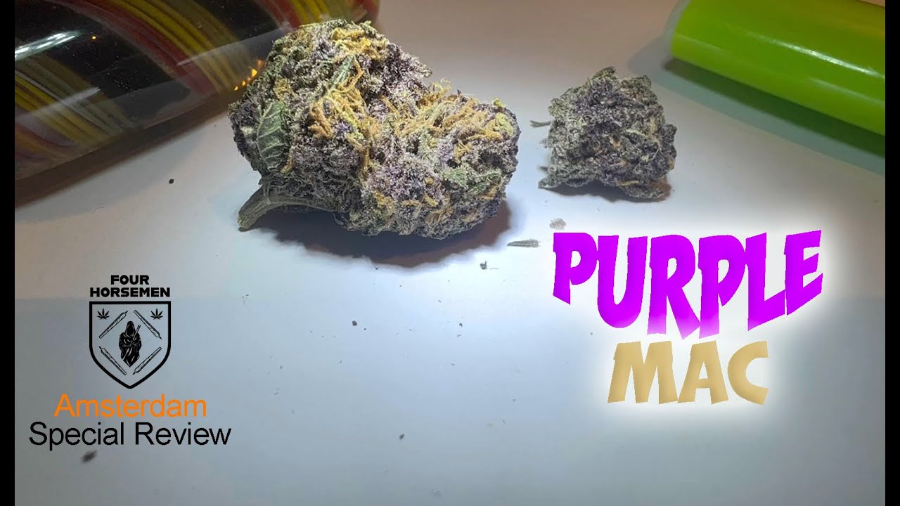 Amsterdam Coffeeshop Strain Review:  Purple Mac (Koffeeshop Koi, off Rembrandt Sq)
