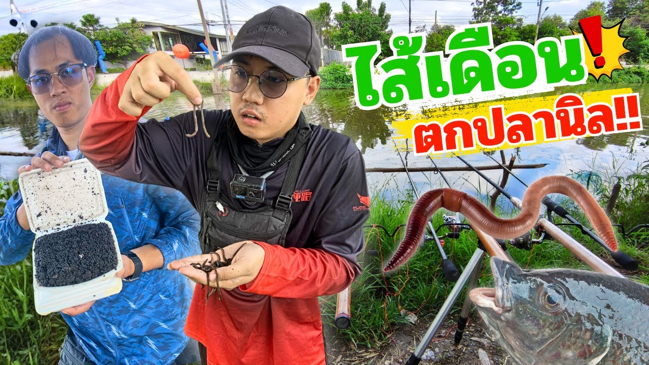 ตกปลานิล ด้วยไส้เดือน!! ep.5