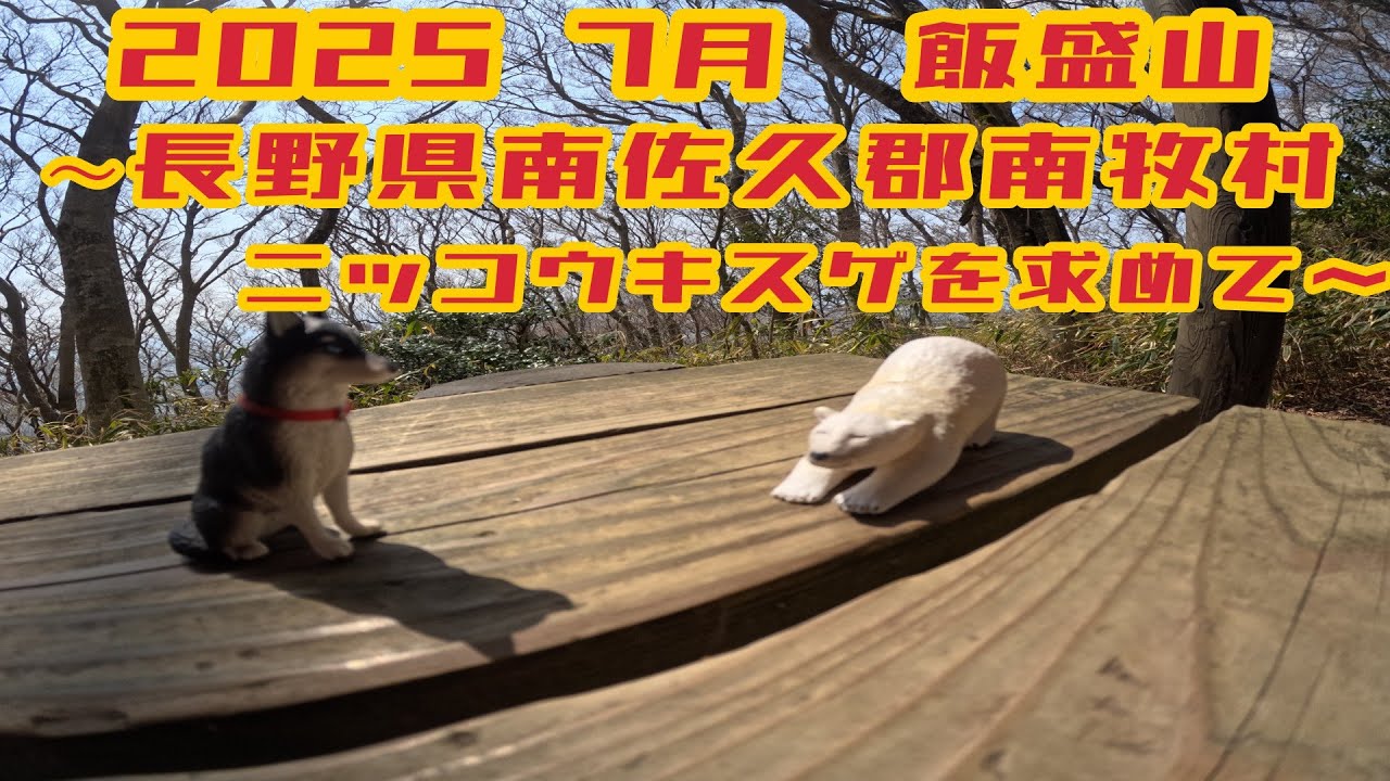 飯盛山～ニッコウキスゲの群生を求めて～