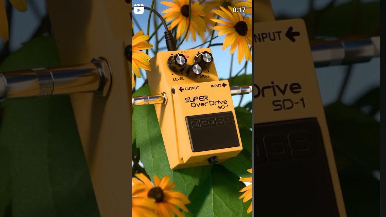 #belarus #drumstudio #piano #musichumor #minsk #music #musicjokes #cover #musicmemes #drums